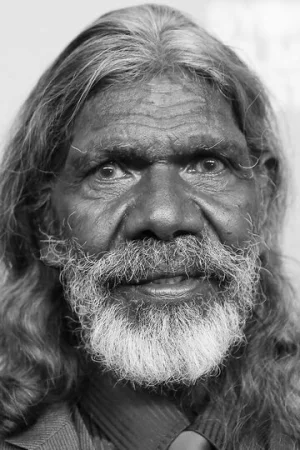 Дэвид Галпилил