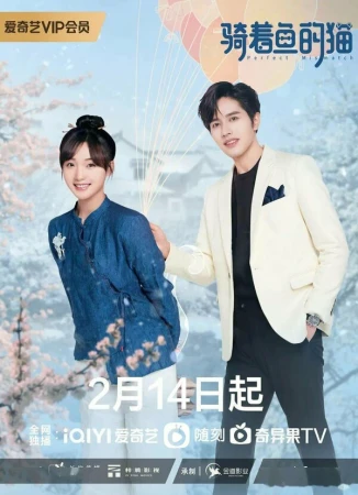 Кошка и рыба в hd качестве