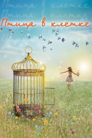 Птица в клетке в hd качестве