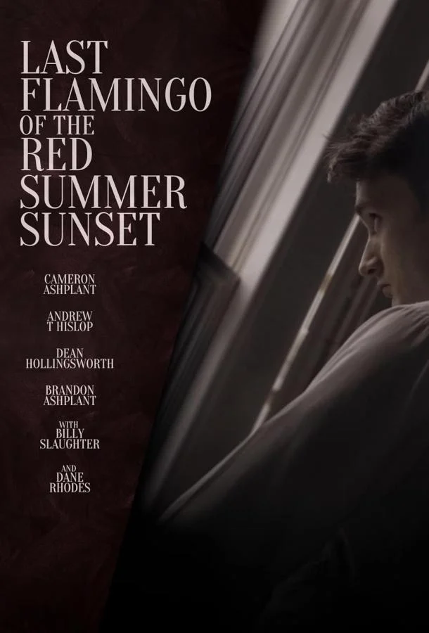 Последний фламинго красного летнего заката в hd качестве