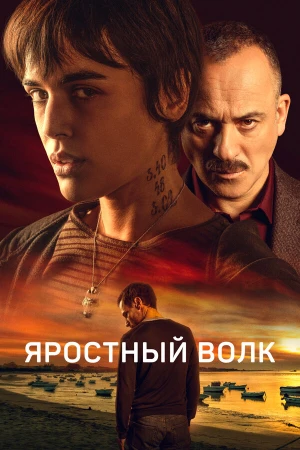 Свирепый волк в hd качестве