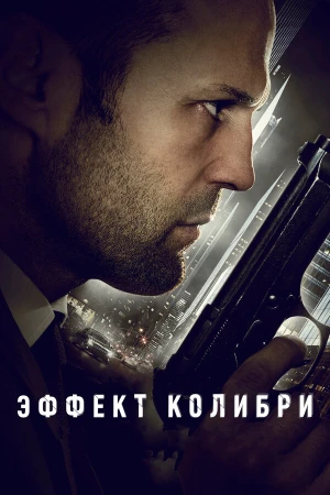 Эффект колибри в hd качестве