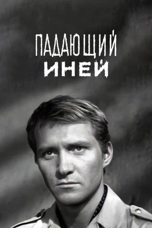 Падающий иней в hd качестве