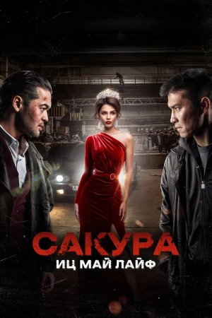Сакура в hd качестве