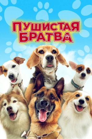 Пушистая братва в hd качестве