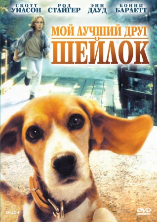 Мой лучший друг Шейлок в hd качестве