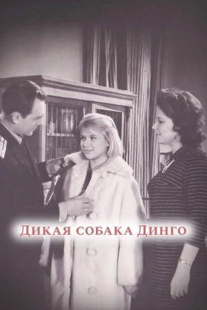 Дикая собака динго в hd качестве