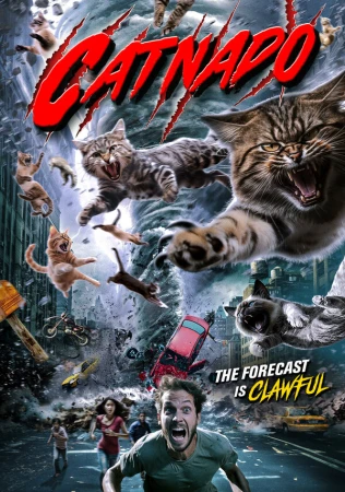 Кошачий торнадо в hd качестве