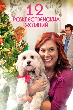 12 Рождественских желаний в hd качестве