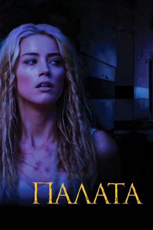 Палата в hd качестве