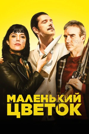 Маленький цветок в hd качестве