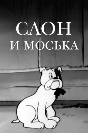 Слон и моська в hd качестве