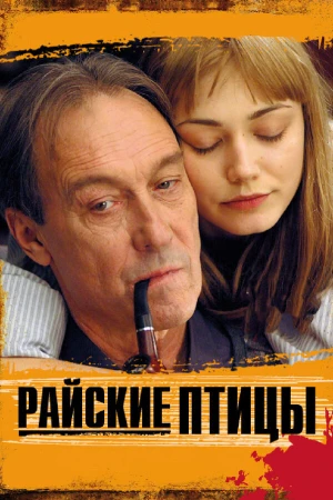 Райские птицы в hd качестве