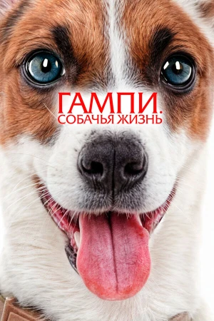 Гампи. Собачья жизнь в hd качестве