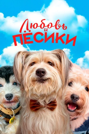 Любовь и пёсики в hd качестве