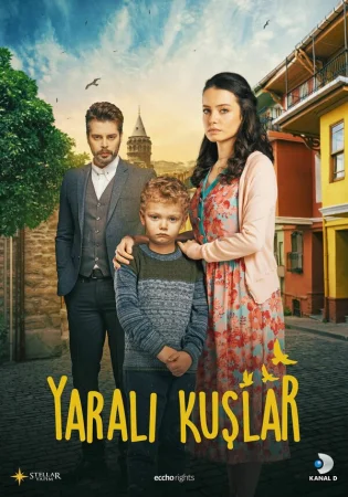 Раненые птицы в hd качестве