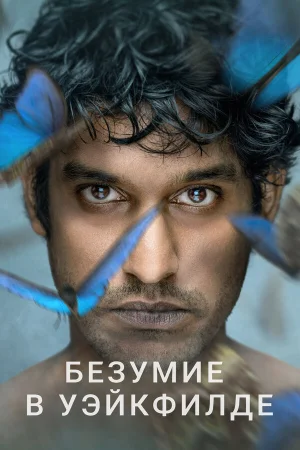Безумие в Уэйкфилде в hd качестве