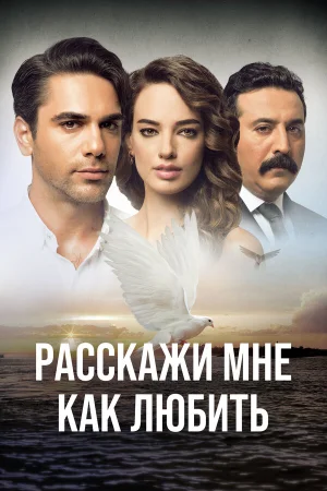 Расскажи мне, как любить в hd качестве