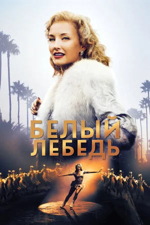Белый лебедь в hd качестве