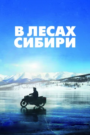 В лесах Сибири в hd качестве