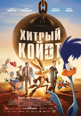 Хитрый койот в hd качестве