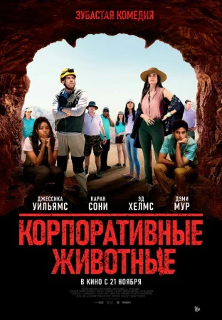 Корпоративные животные в hd качестве