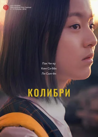 Колибри в hd качестве