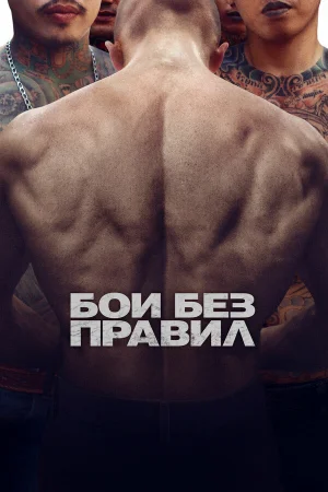 Бои без правил в hd качестве